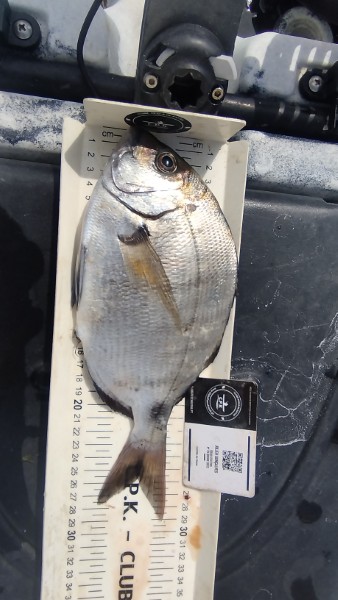 Fish Measure Picture